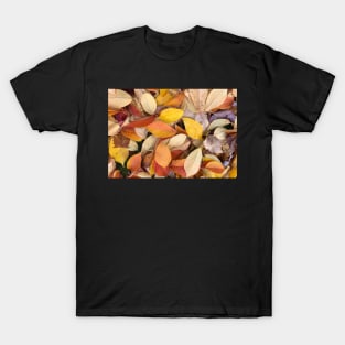 Forest Bathing with Fall Leaves T-Shirt